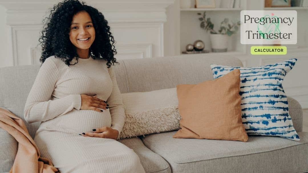 Pregnancy Trimester Calculator