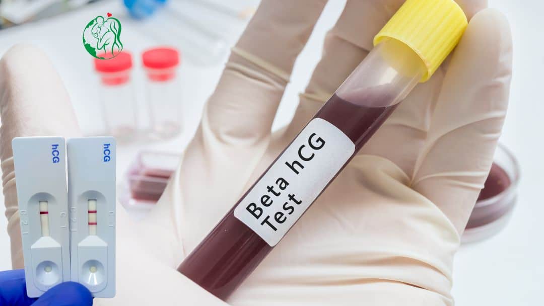 hCG Levels Calculator