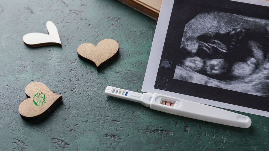 pregnancy due date calculator